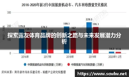探索露友体育品牌的创新之路与未来发展潜力分析